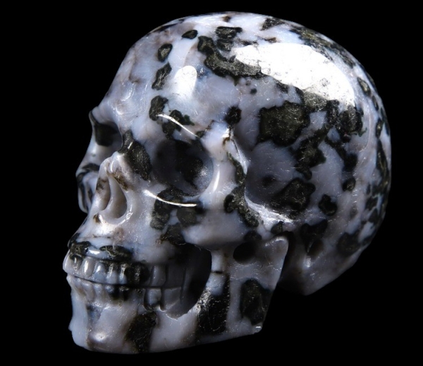Gabbro Skull